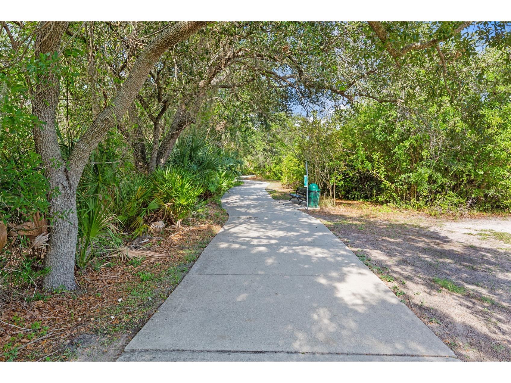 1623 Gray Bark Drive Oldsmar FL 34677 TB8512588 image32
