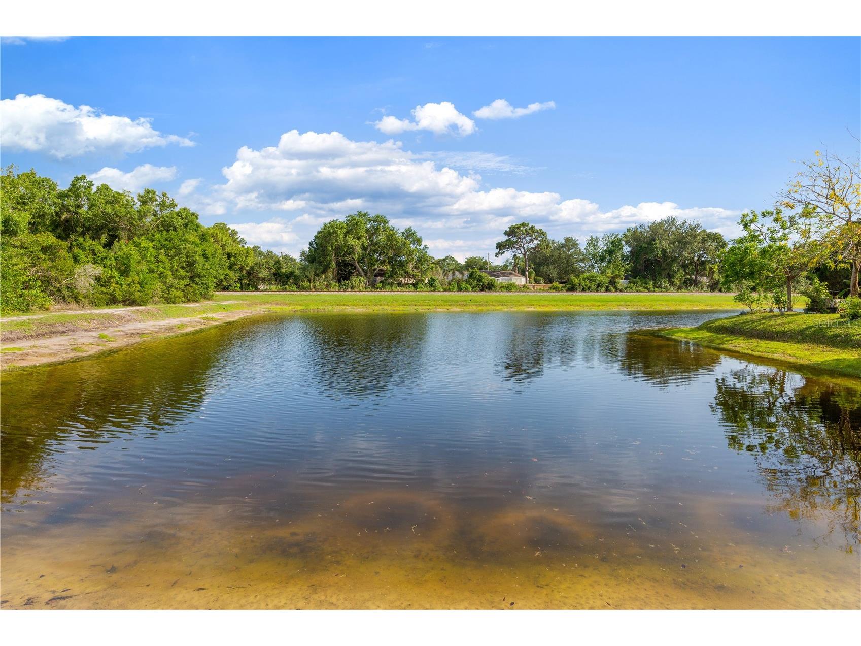 1623 Gray Bark Drive Oldsmar FL 34677 TB8512588 image33