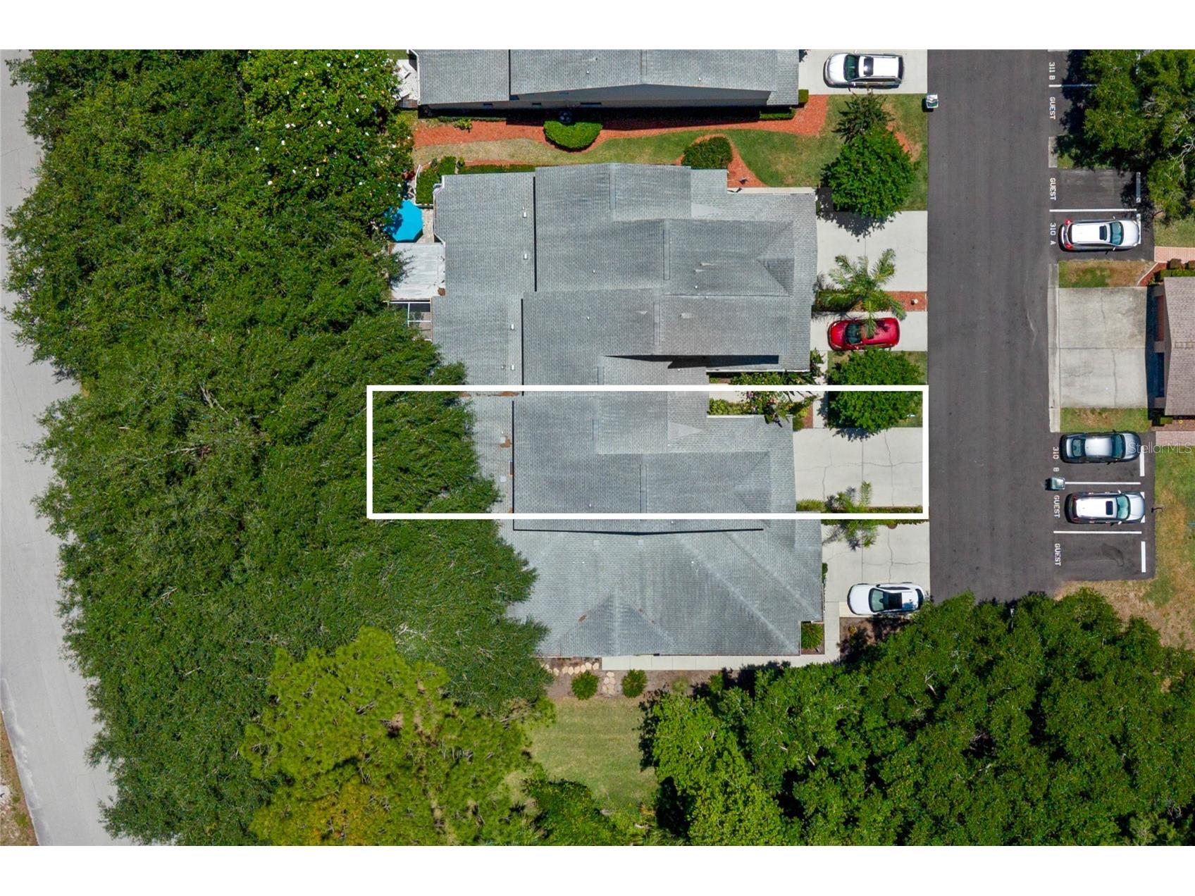 1623 Morning Dove Lane Tarpon Springs FL 34688 TB8507741 image18