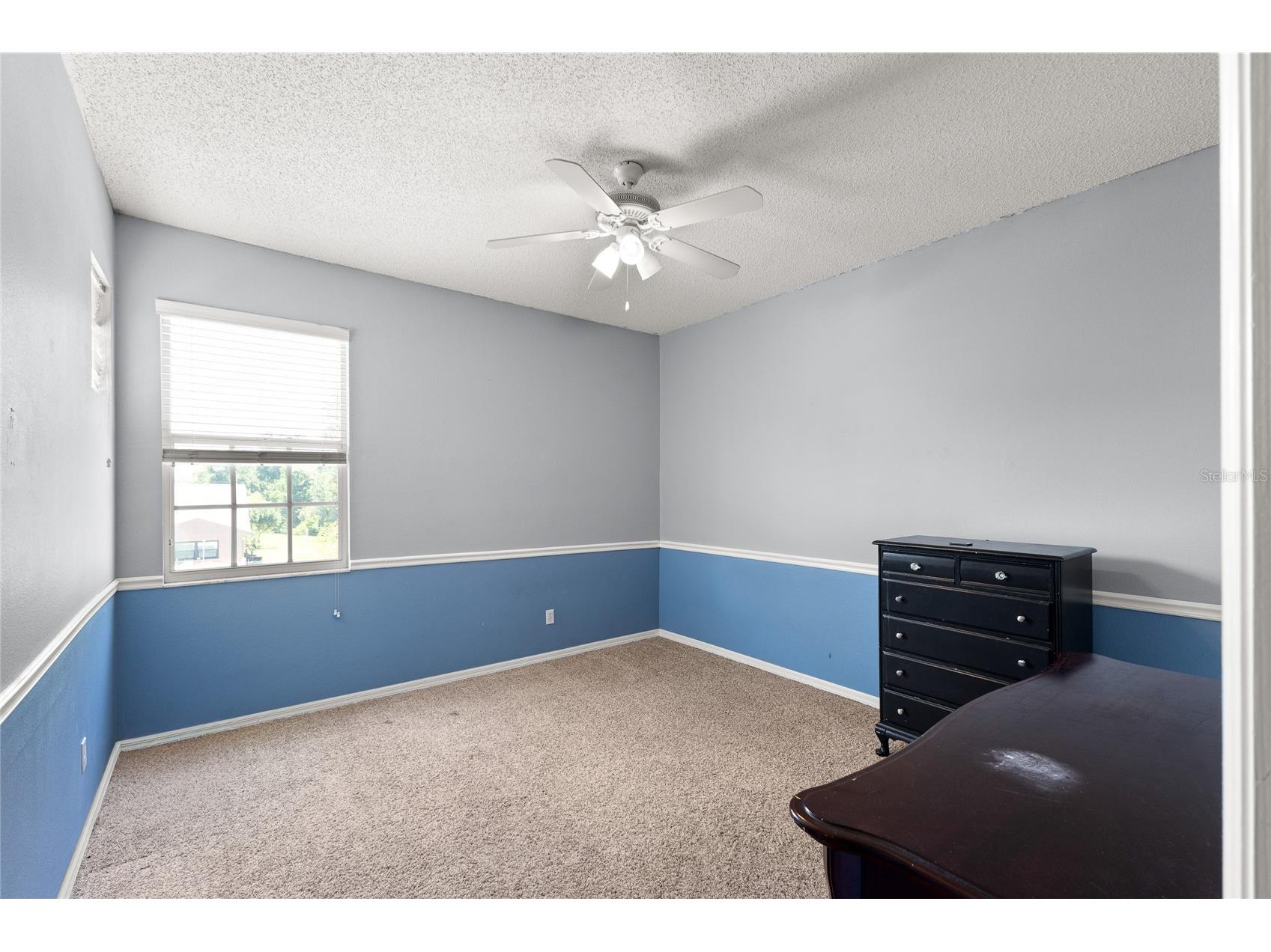 1623 Morning Dove Lane Tarpon Springs FL 34688 TB8507741 image33