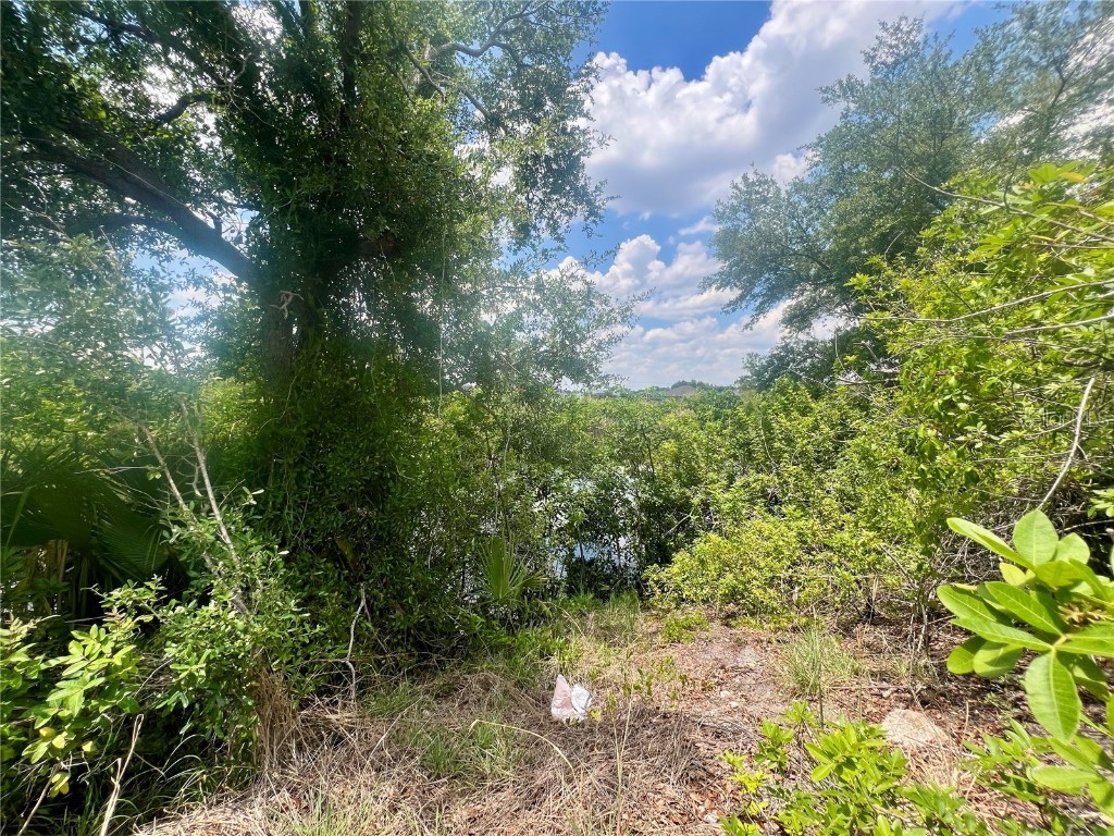 1623 NW 26th Street Cape Coral FL 33993 C7492523 image2