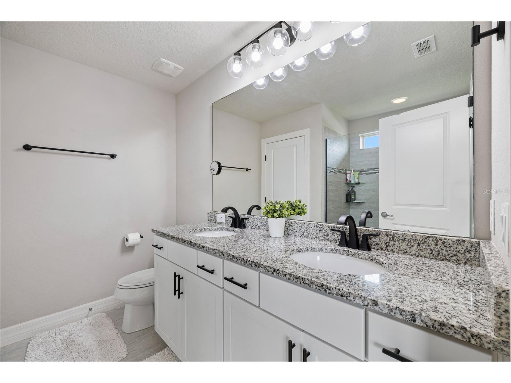 1623 Regal River Circle Ocoee FL 34761 O6398804 image43