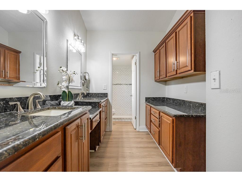 1623 Shady Leaf Drive Valrico FL 33596 TB8433134 image16