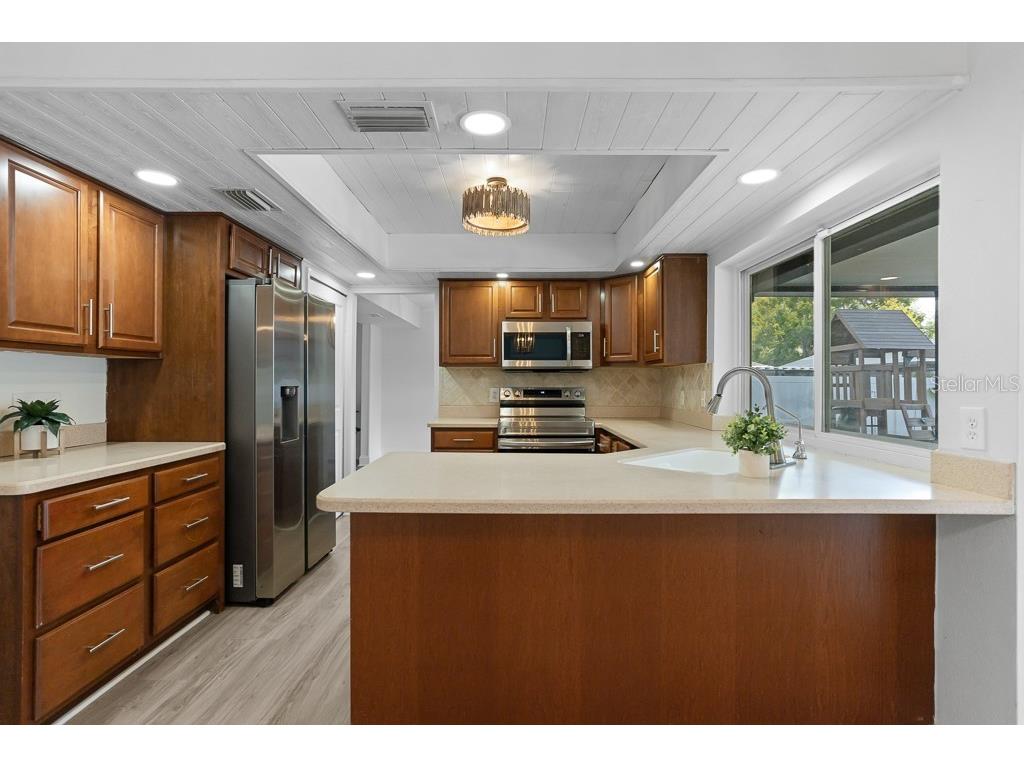 1623 Shady Leaf Drive Valrico FL 33596 TB8433134 image4