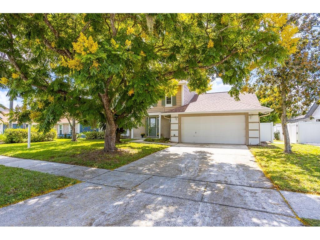 1623 Shady Leaf Drive Valrico FL 33596 TB8433134 image45