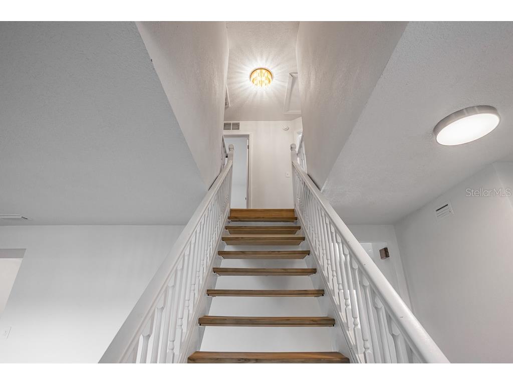 1623 Shady Leaf Drive Valrico FL 33596 TB8433134 image9