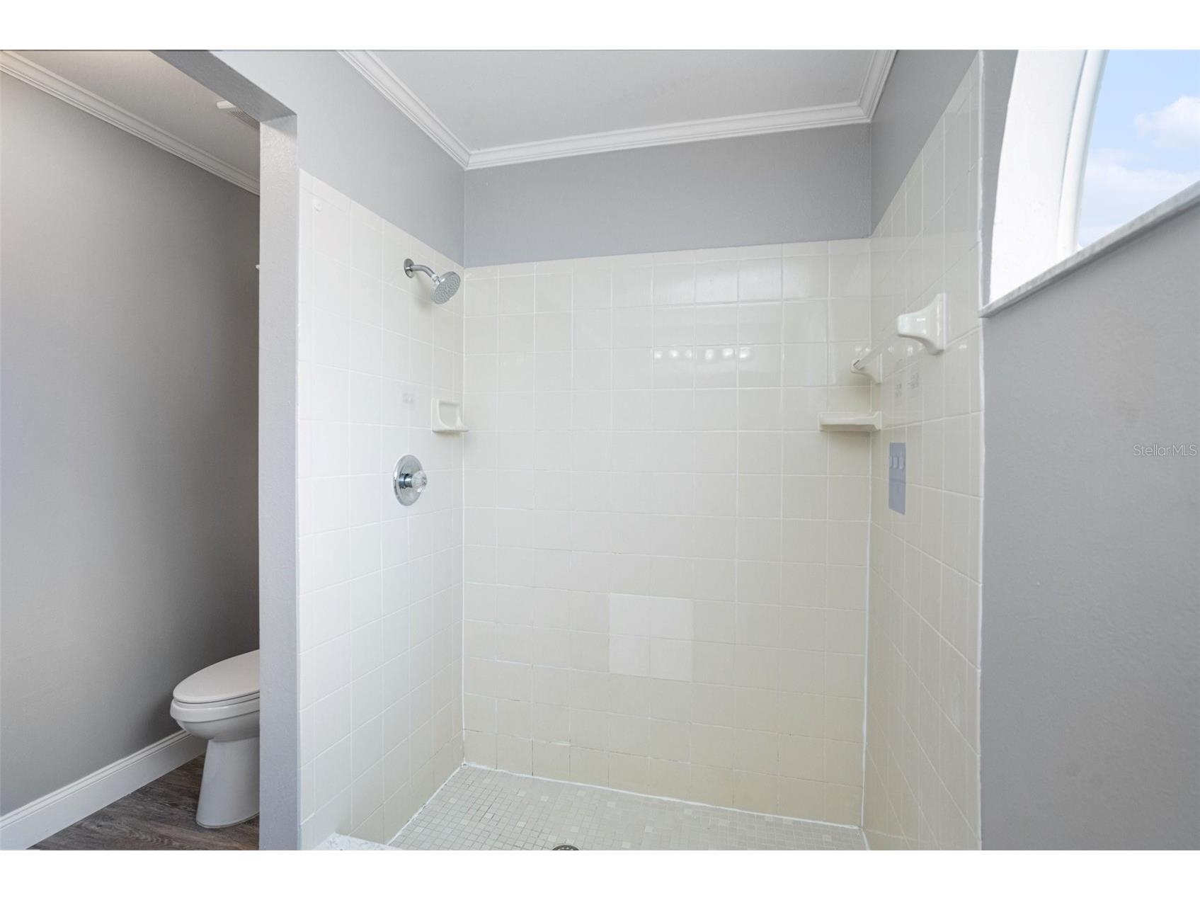 1623 Storington Avenue Brandon FL 33511 O6393093 image20