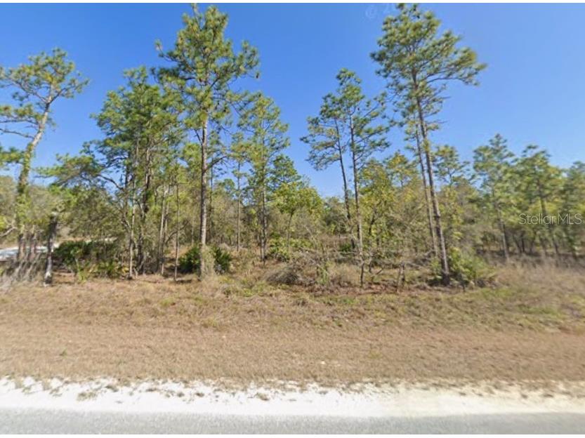 16230 Kakawi Road Brooksville FL 34614 W7882885 image1