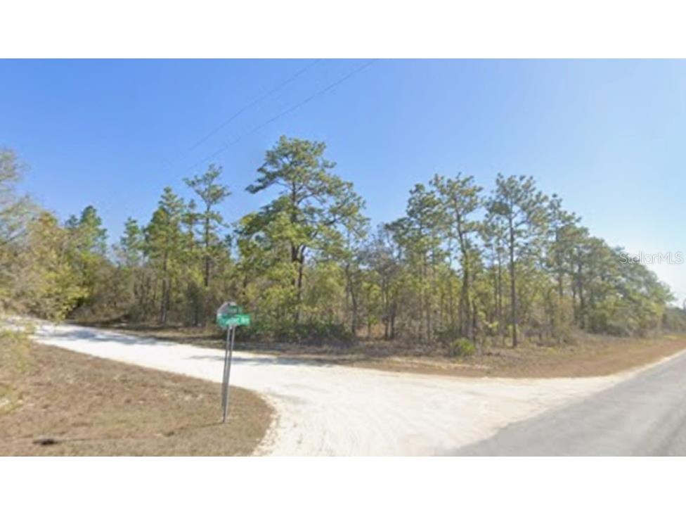 16230 Kakawi Road Brooksville FL 34614 W7882885 image2