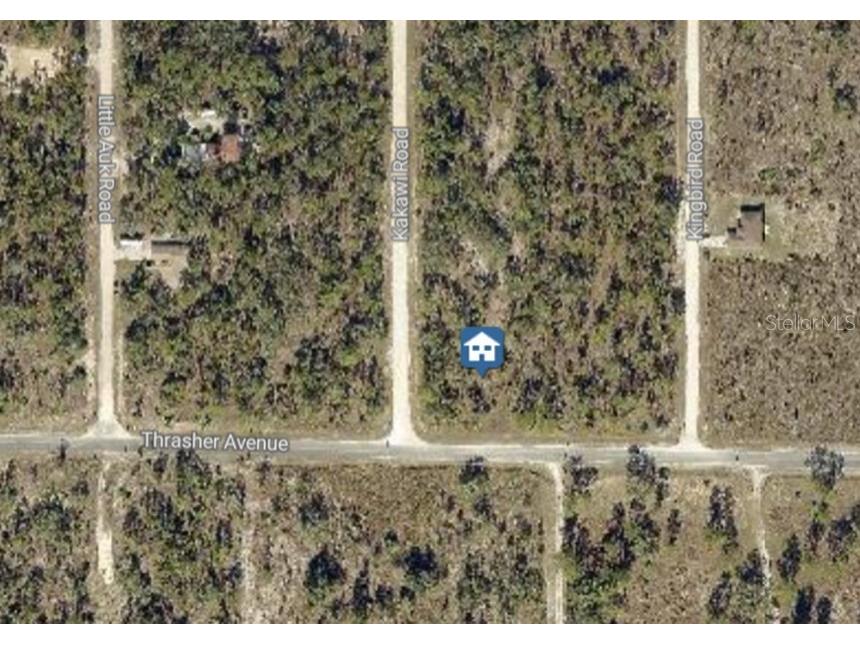 16230 Kakawi Road Brooksville FL 34614 W7882885 image3