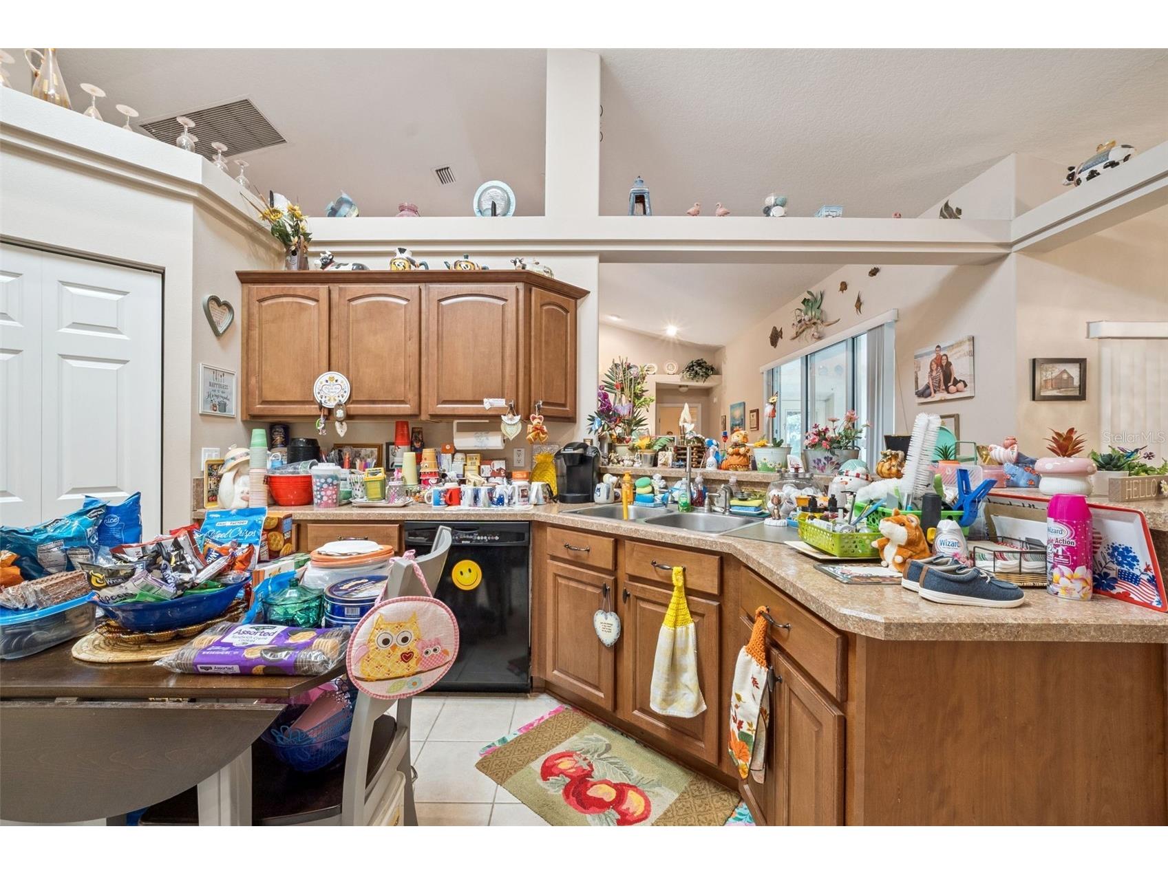 16230 NW 53rd Street Morriston FL 32668 O6409194 image11