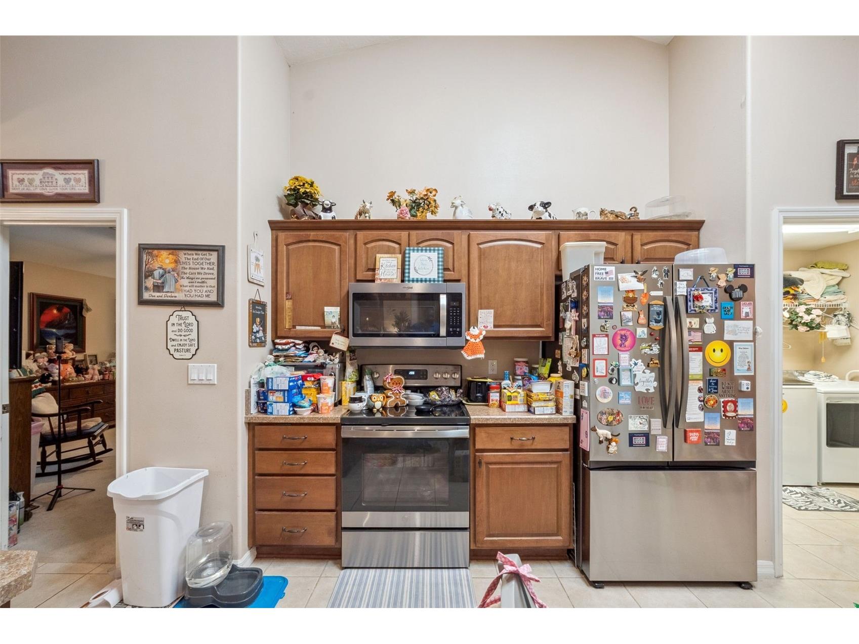 16230 NW 53rd Street Morriston FL 32668 O6409194 image12