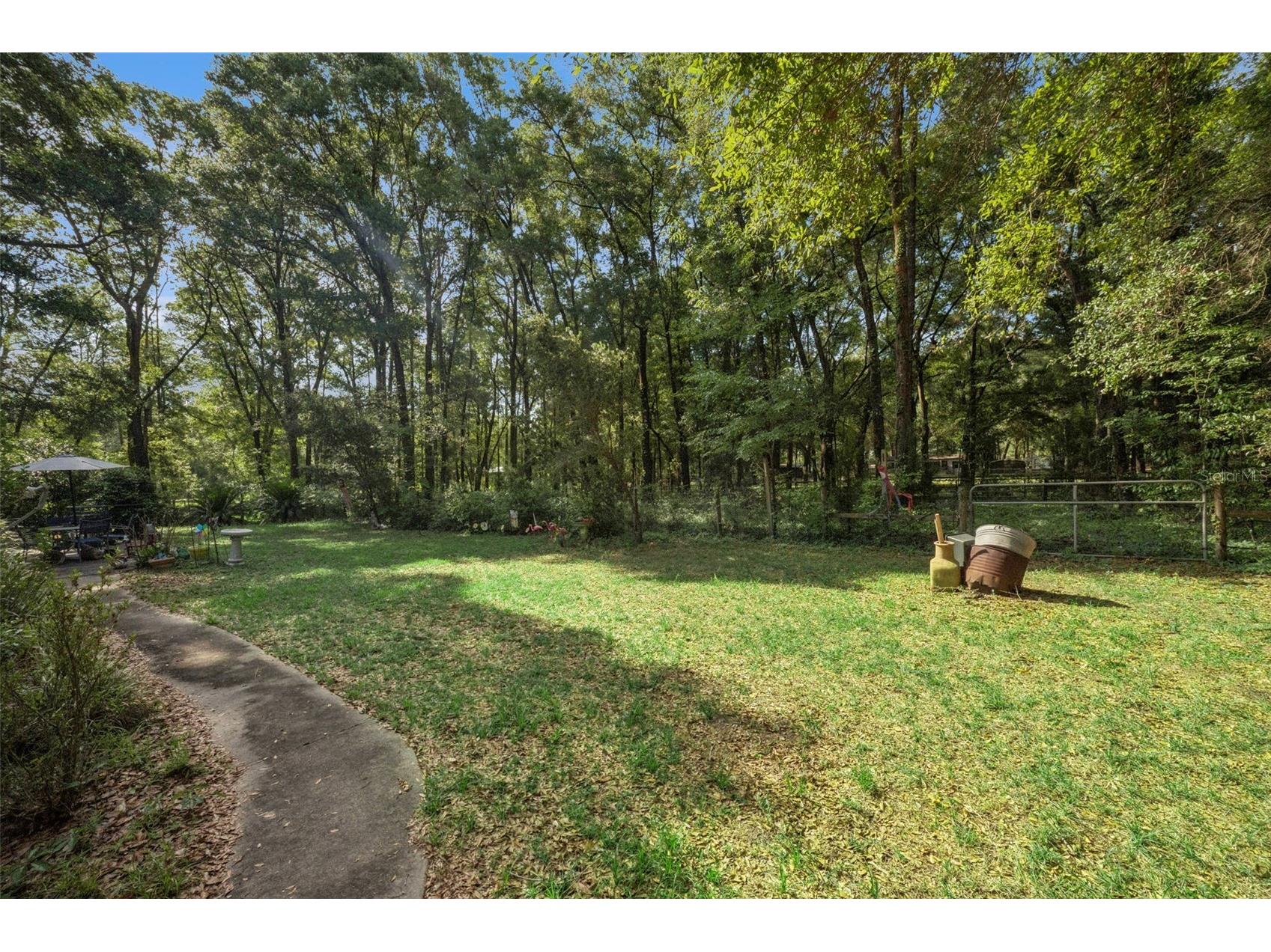 16230 NW 53rd Street Morriston FL 32668 O6409194 image30