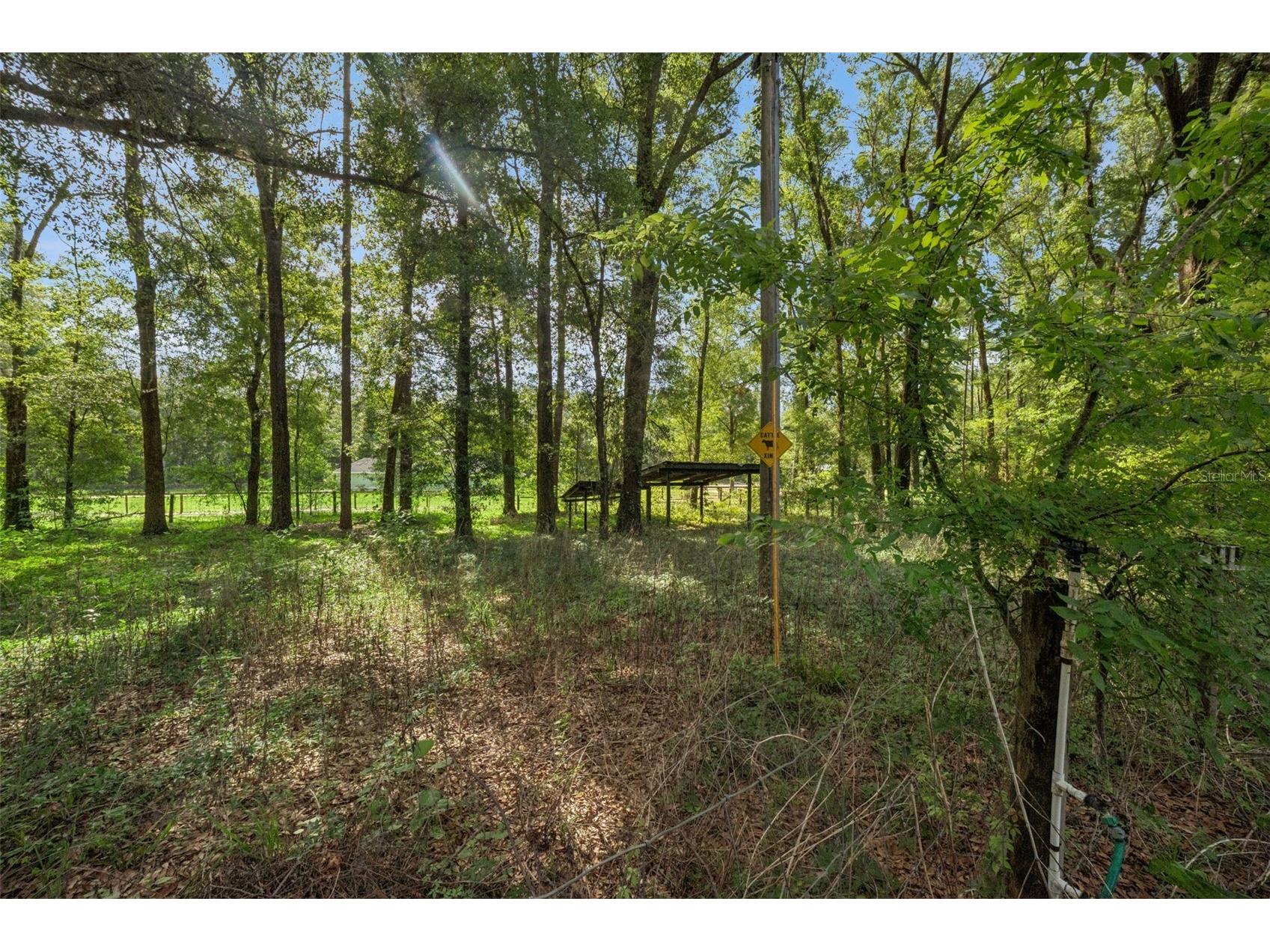 16230 NW 53rd Street Morriston FL 32668 O6409194 image31
