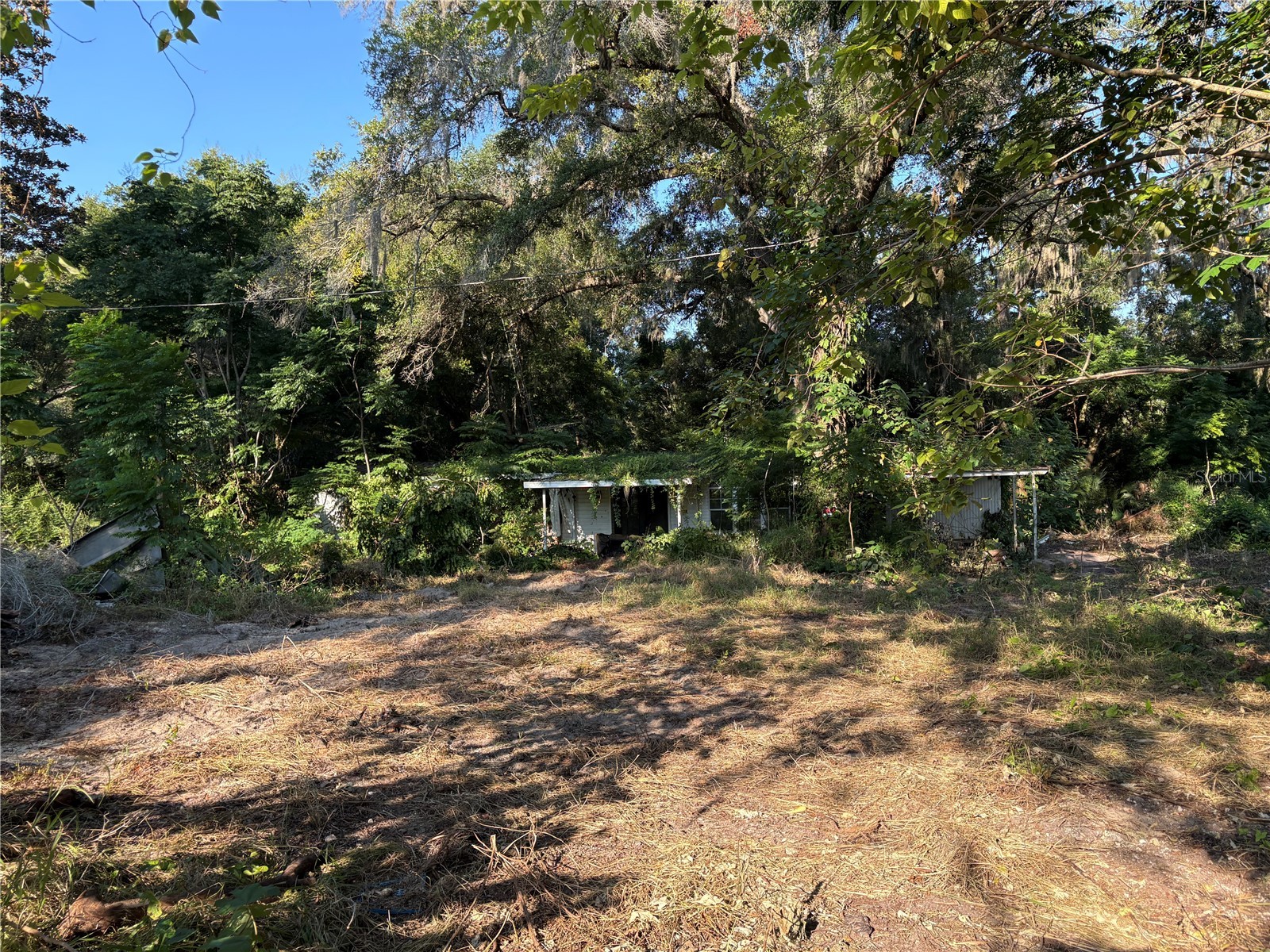 16230 SE 135th Court Weirsdale FL 32195 OM710098 image1