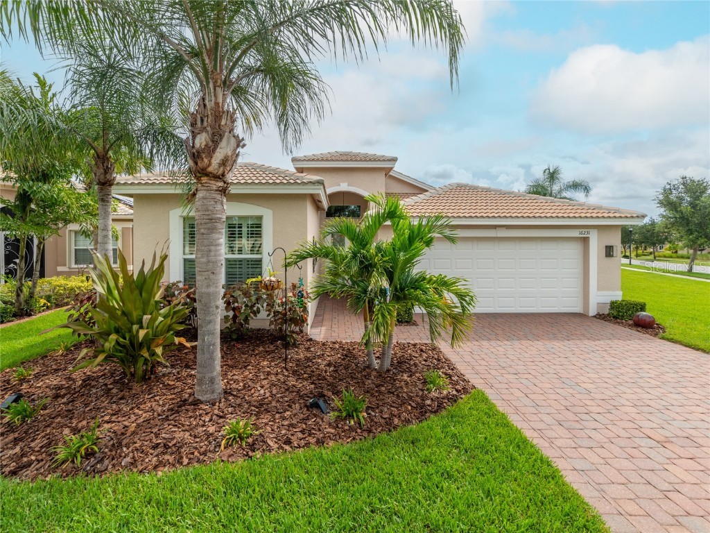 16231 Cape Coral Drive Wimauma FL 33598 T3467291 image1