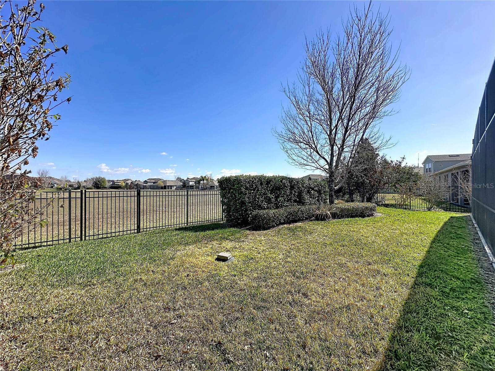 16232 Rock Coast Drive Winter Garden FL 34787 O6385935 image34