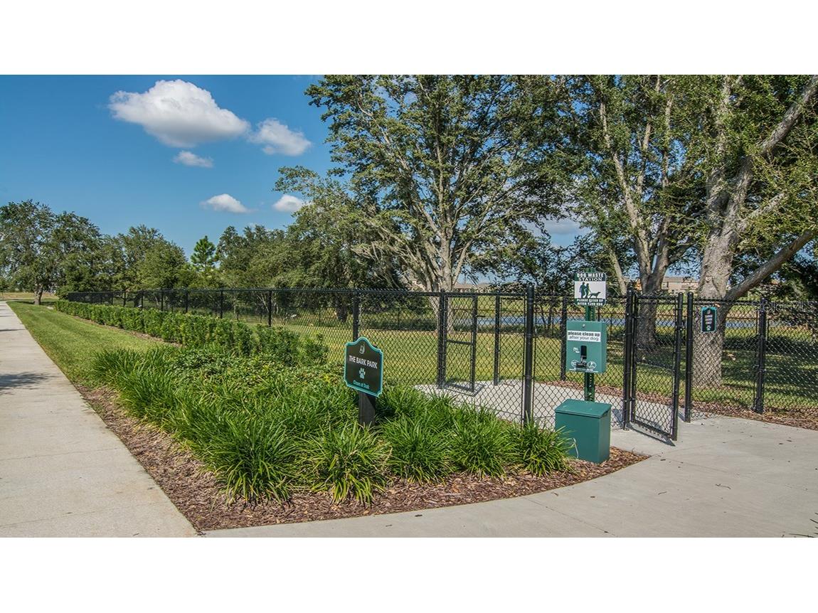 16232 Rock Coast Drive Winter Garden FL 34787 O6385935 image43