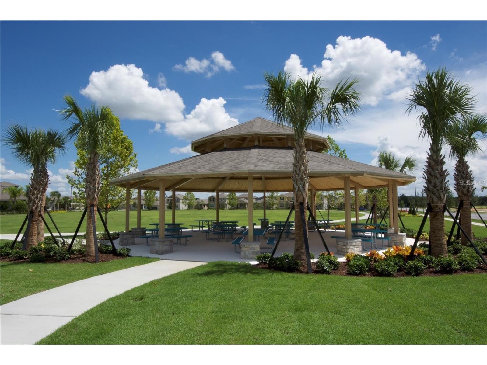 16232 Rock Coast Drive Winter Garden FL 34787 O6385935 image46
