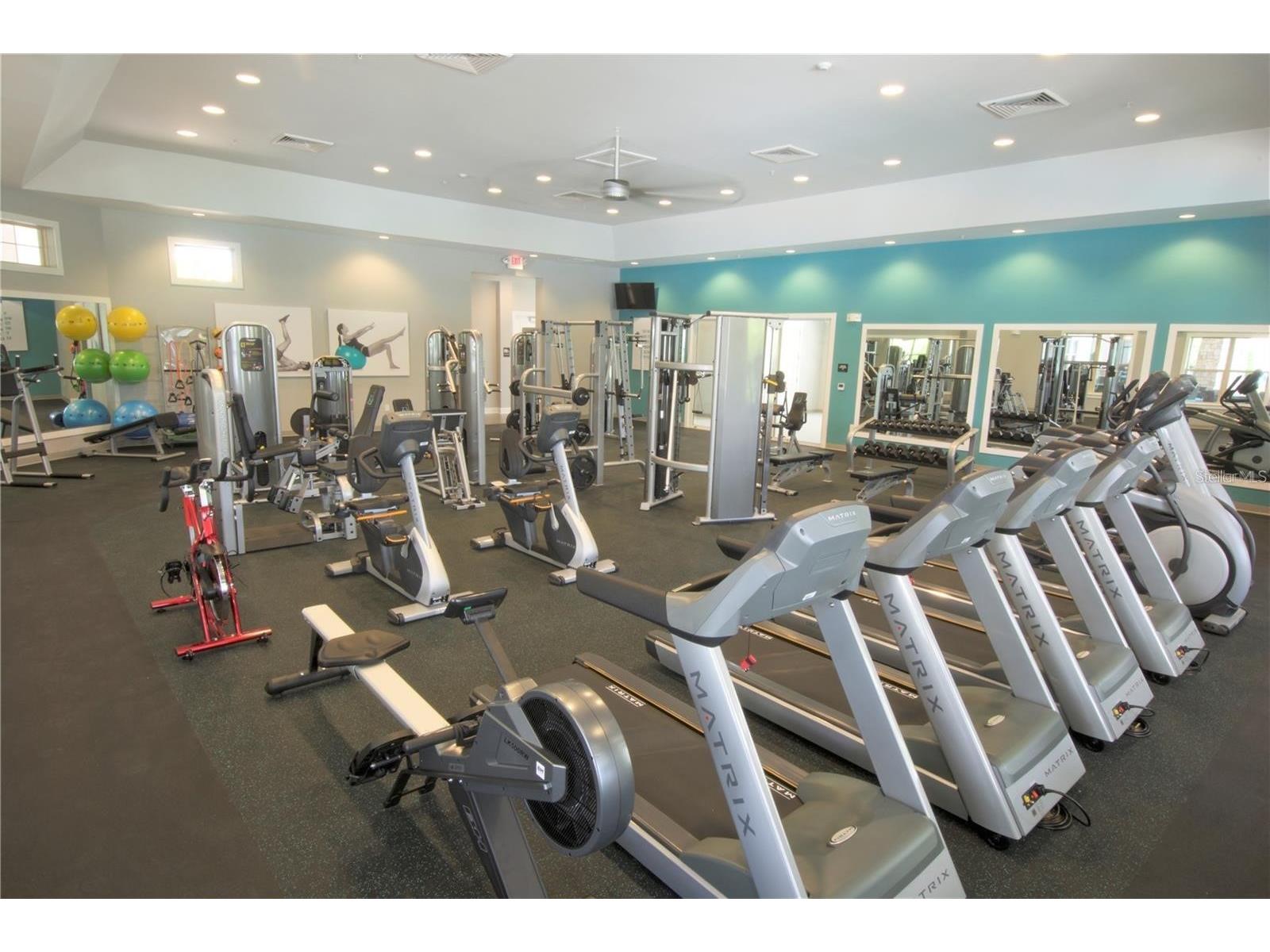 16232 Rock Coast Drive Winter Garden FL 34787 O6385935 image49
