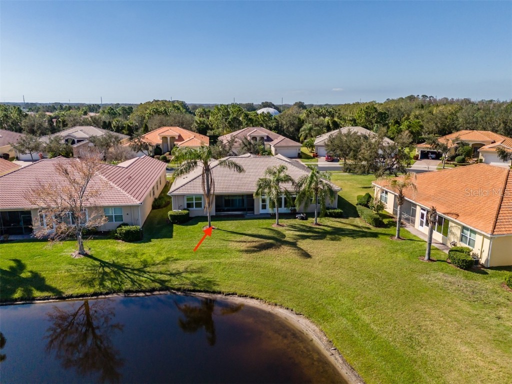 16233 Amethyst Key Drive Wimauma FL 33598 TB8452314 image49