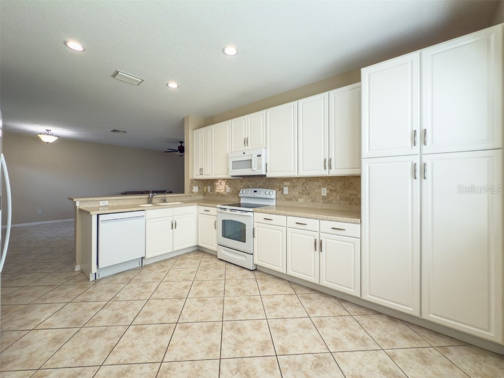 16233 Amethyst Key Drive Wimauma FL 33598 TB8452314 image53