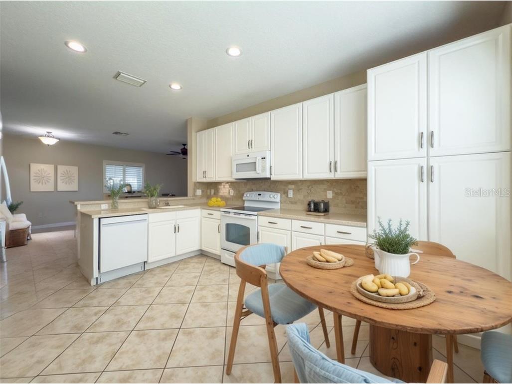 16233 Amethyst Key Drive Wimauma FL 33598 TB8452314 image8