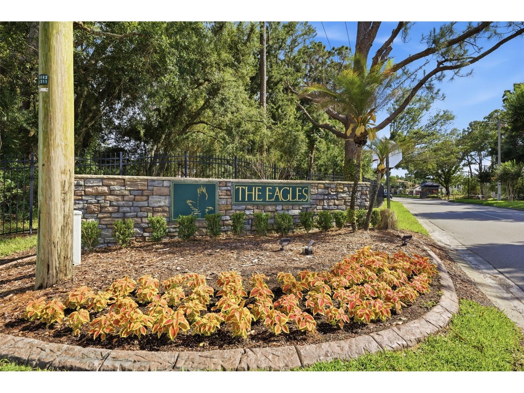 16233 Carnoustie Drive Odessa FL 33556 TB8512705 image47