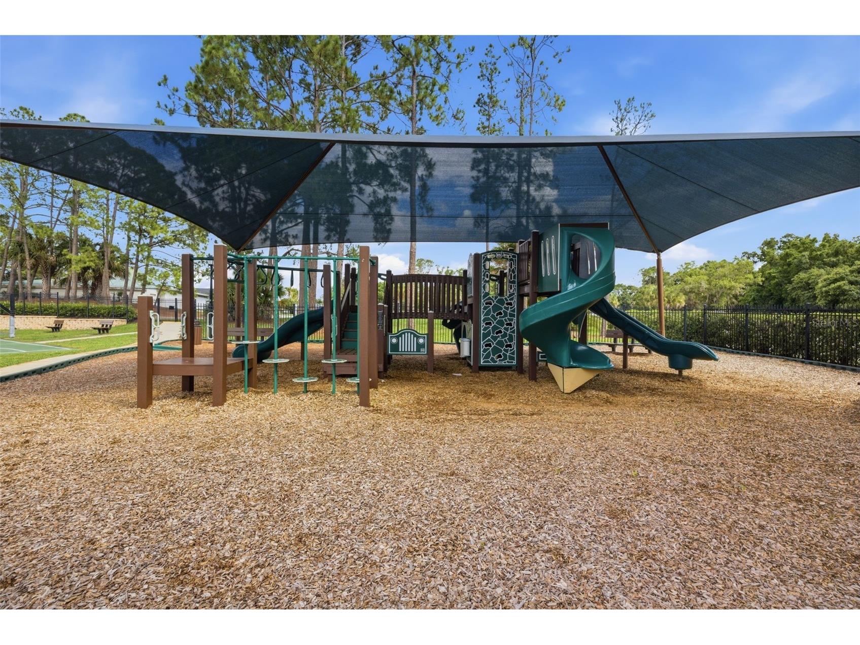 16233 Carnoustie Drive Odessa FL 33556 TB8512705 image50
