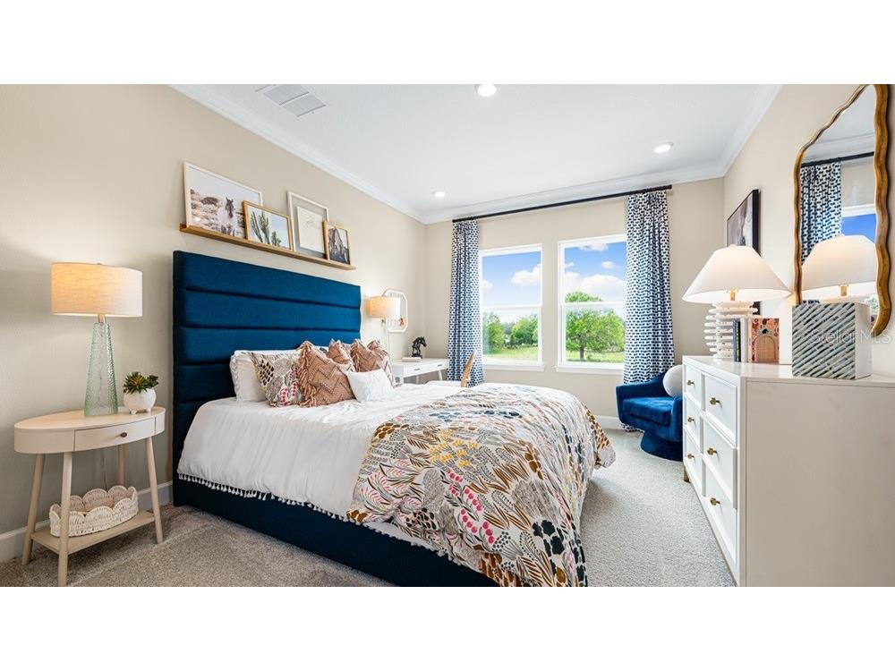 16237 Alpha Grove Place Odessa FL 33556 TB8495557 image10