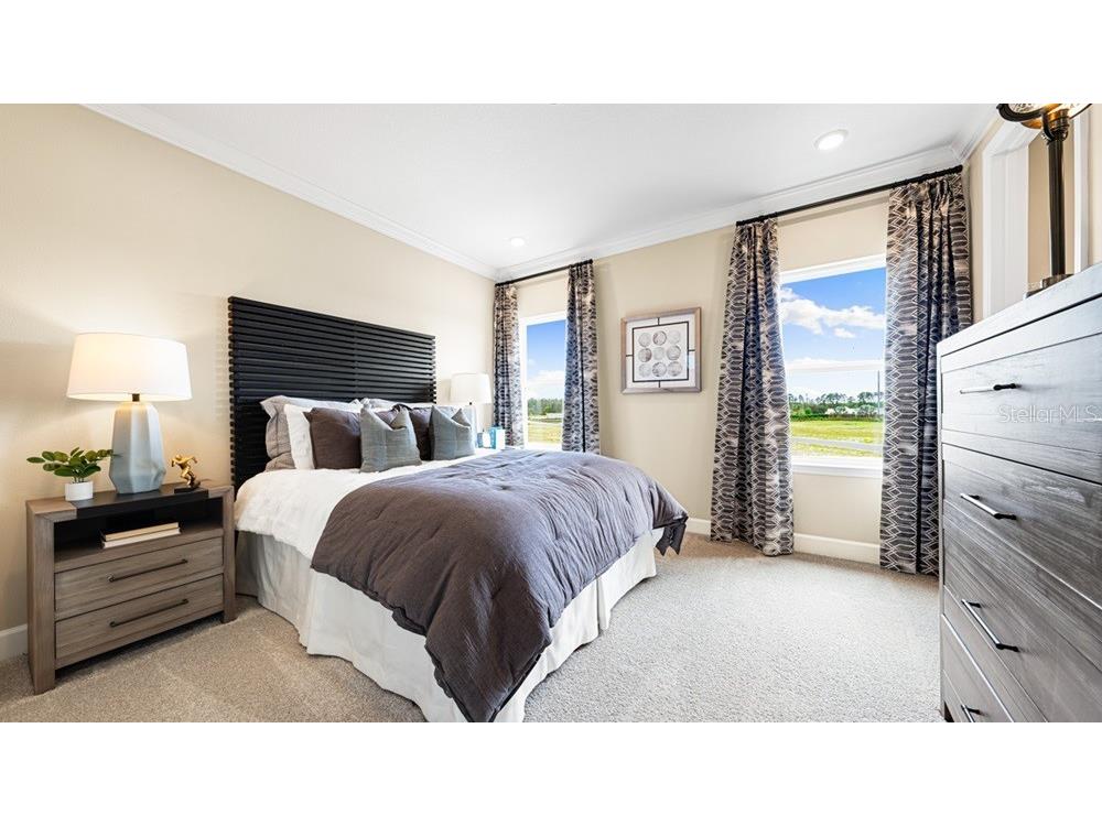 16237 Alpha Grove Place Odessa FL 33556 TB8495557 image16
