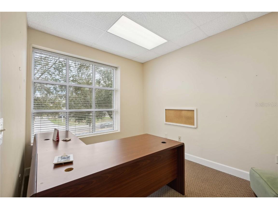 16238 N Florida Avenue Lutz FL 33549 TB8355747 image11