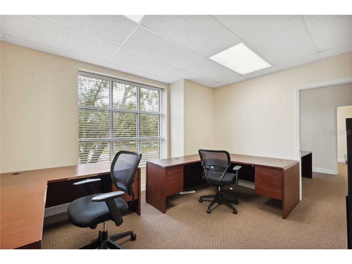 16238 N Florida Avenue Lutz FL 33549 TB8355747 image19