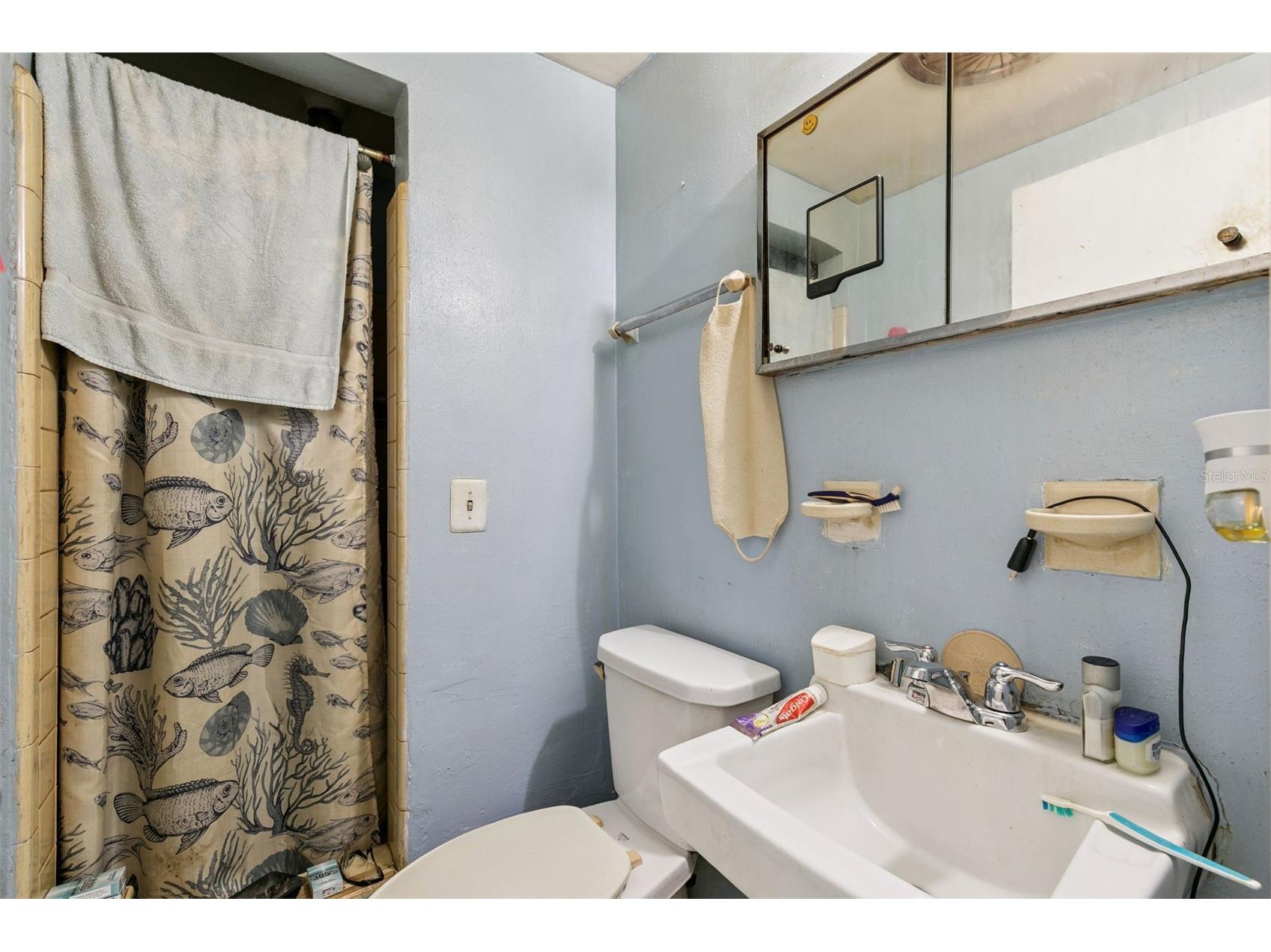 1624 Baltimore Drive Orlando FL 32810 O6396462 image17