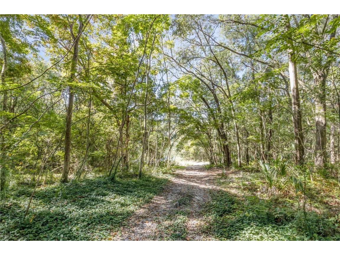 1624 Greens Dairy Road Deland FL 32720 NS1086636 image22