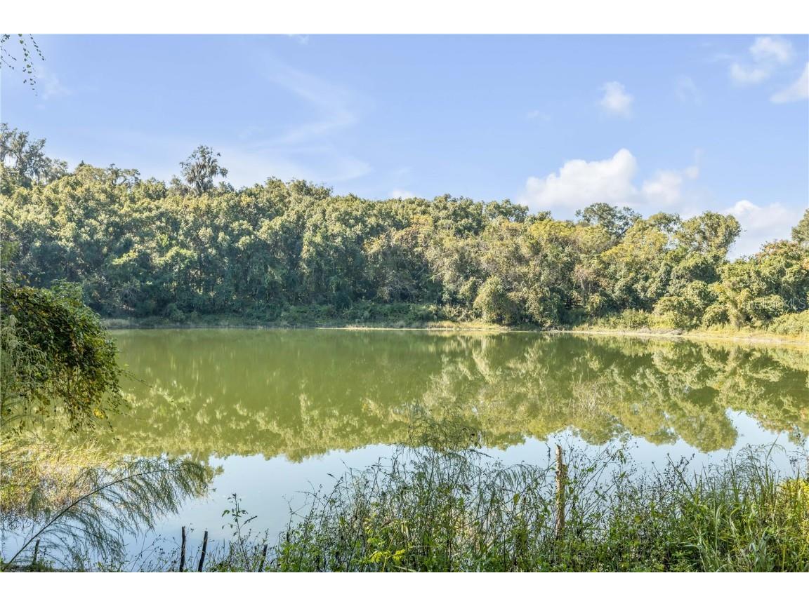 1624 Greens Dairy Road Deland FL 32720 NS1086636 image25