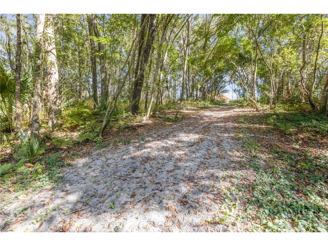 1624 Greens Dairy Road Deland FL 32720 NS1086636 image26