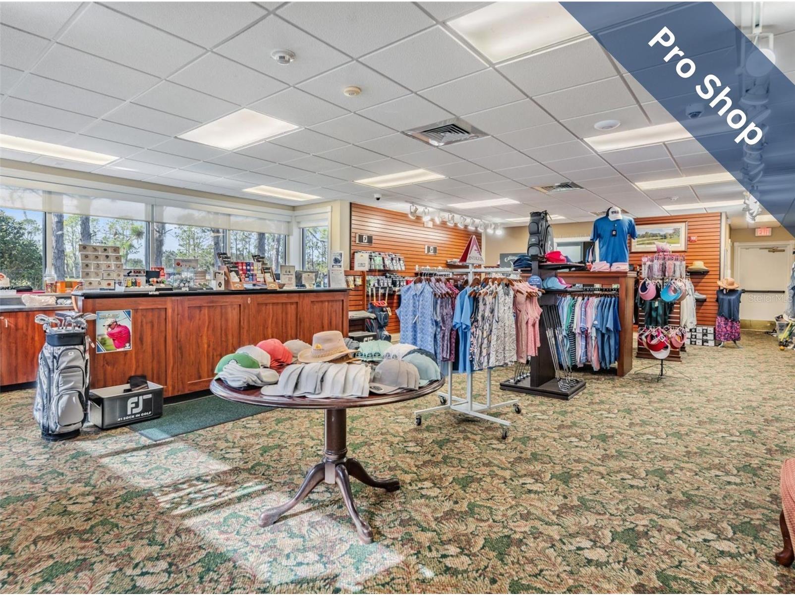 1624 Lakestone Drive Trinity FL 34655 W7885665 image34