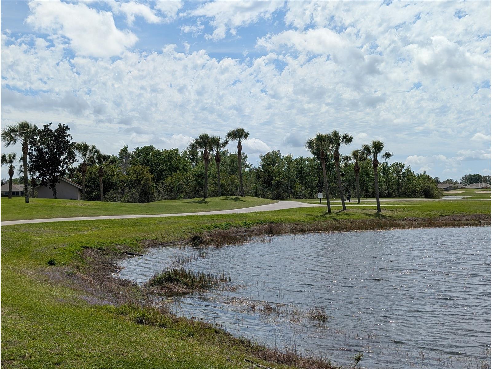 1624 Layton Court #1624 Sun City Center FL 33573 TB8481918 image25