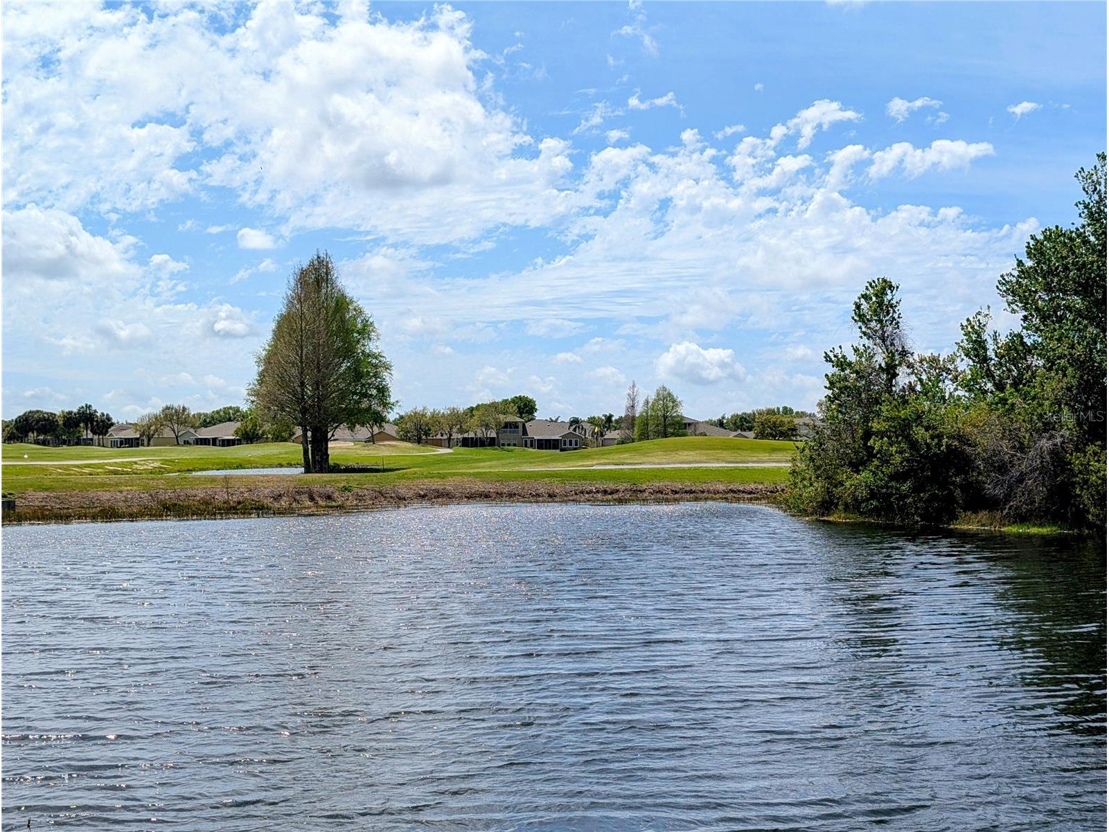 1624 Layton Court #1624 Sun City Center FL 33573 TB8481918 image26