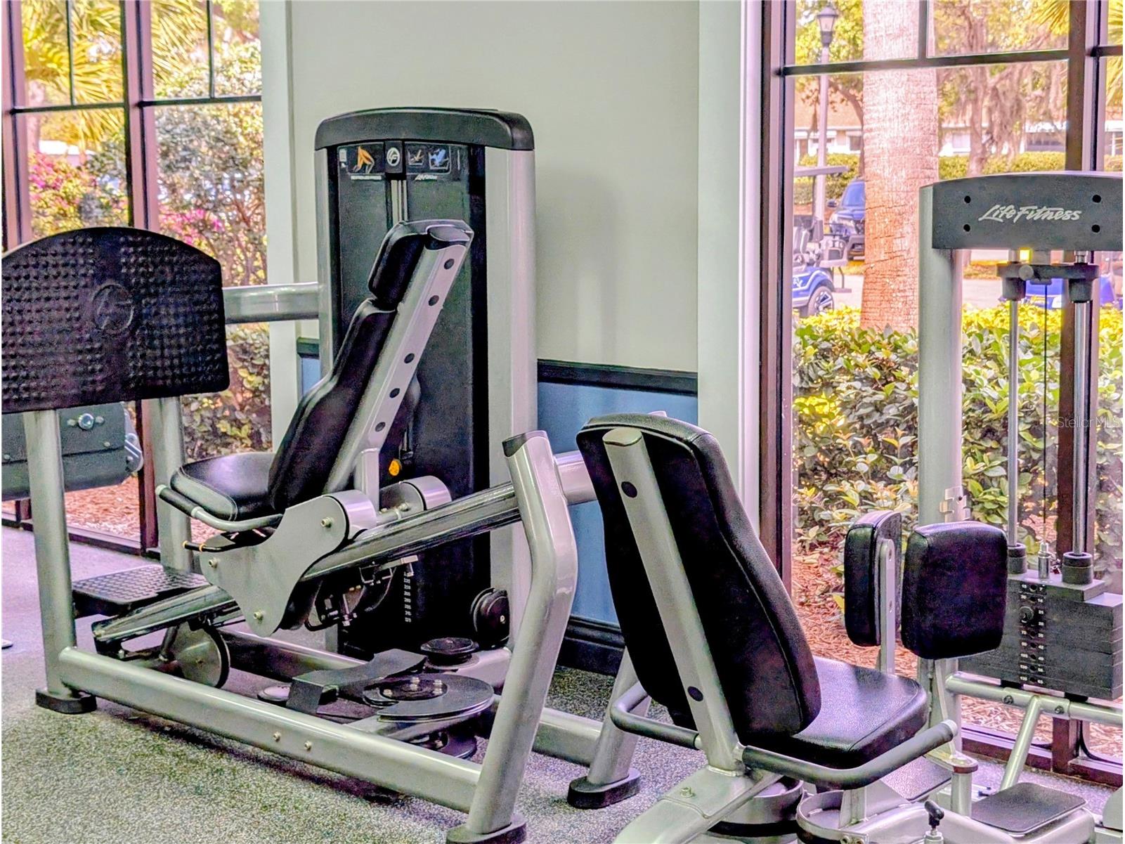 1624 Layton Court #1624 Sun City Center FL 33573 TB8481918 image31