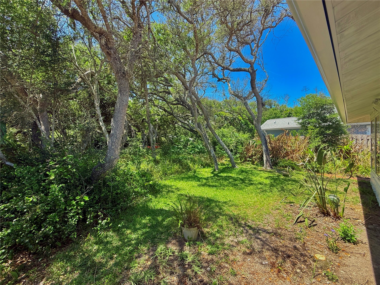 1624 S Daytona Avenue Flagler Beach FL 32136 FC317505 image42