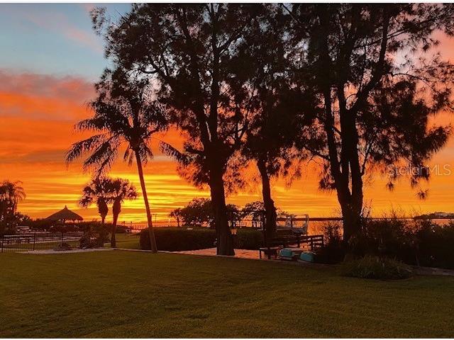 1624 Sea Breeze Drive Tarpon Springs FL 34689 - GULF OF MEXICO/AMERICA W7871997 image1