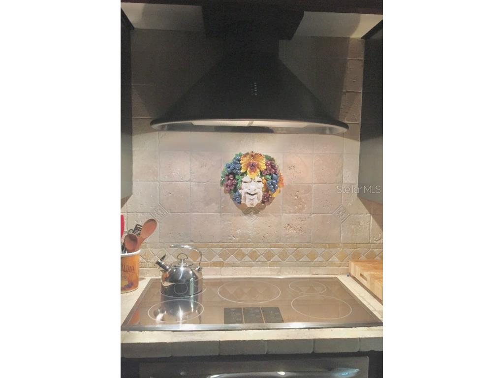 1624 Sea Breeze Drive Tarpon Springs FL 34689 - GULF OF MEXICO/AMERICA W7871997 image14