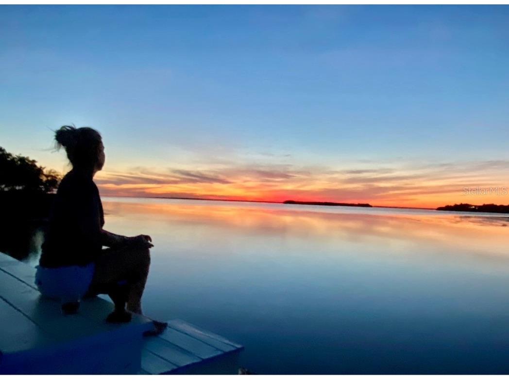 1624 Sea Breeze Drive Tarpon Springs FL 34689 - GULF OF MEXICO/AMERICA W7871997 image16