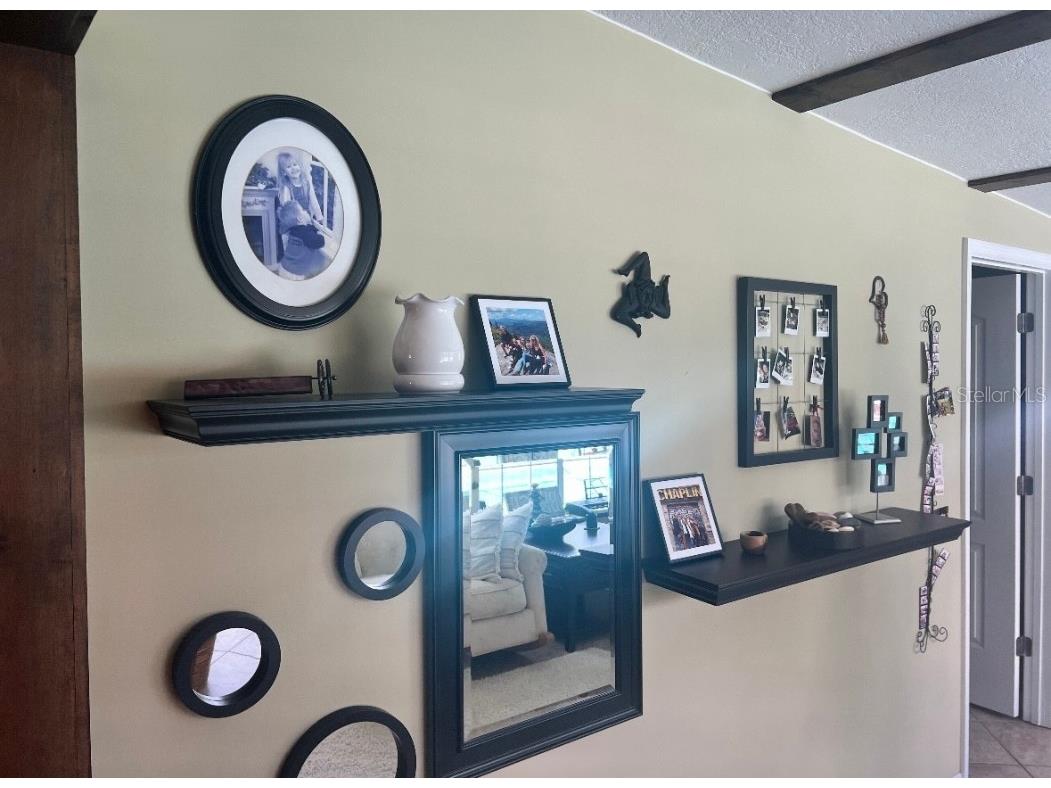 1624 Sea Breeze Drive Tarpon Springs FL 34689 - GULF OF MEXICO/AMERICA W7871997 image18