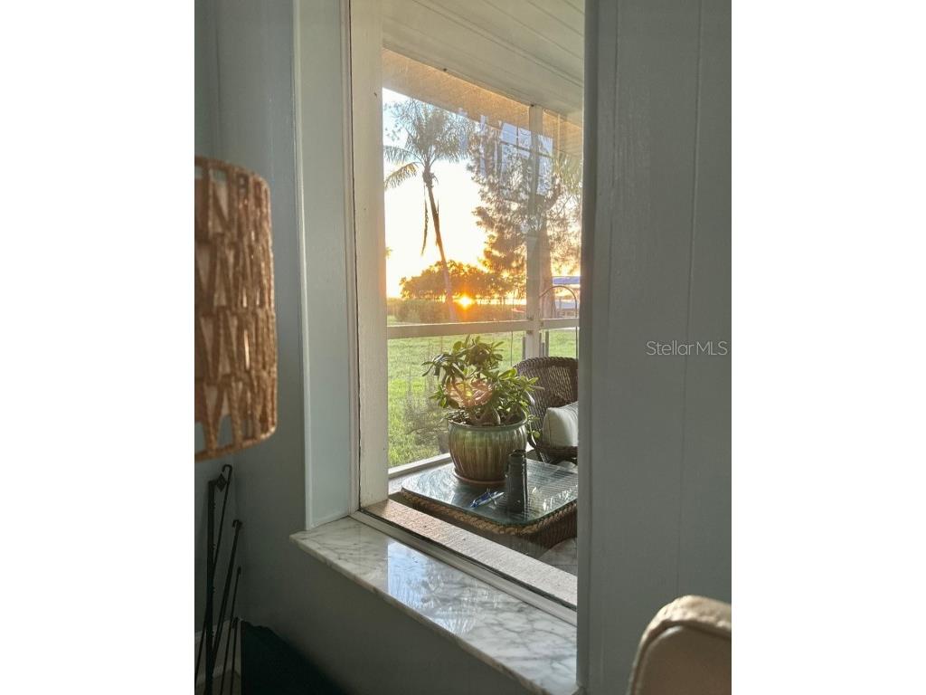 1624 Sea Breeze Drive Tarpon Springs FL 34689 - GULF OF MEXICO/AMERICA W7871997 image20