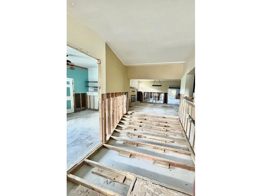 1624 Sea Breeze Drive Tarpon Springs FL 34689 - GULF OF MEXICO/AMERICA W7871997 image24