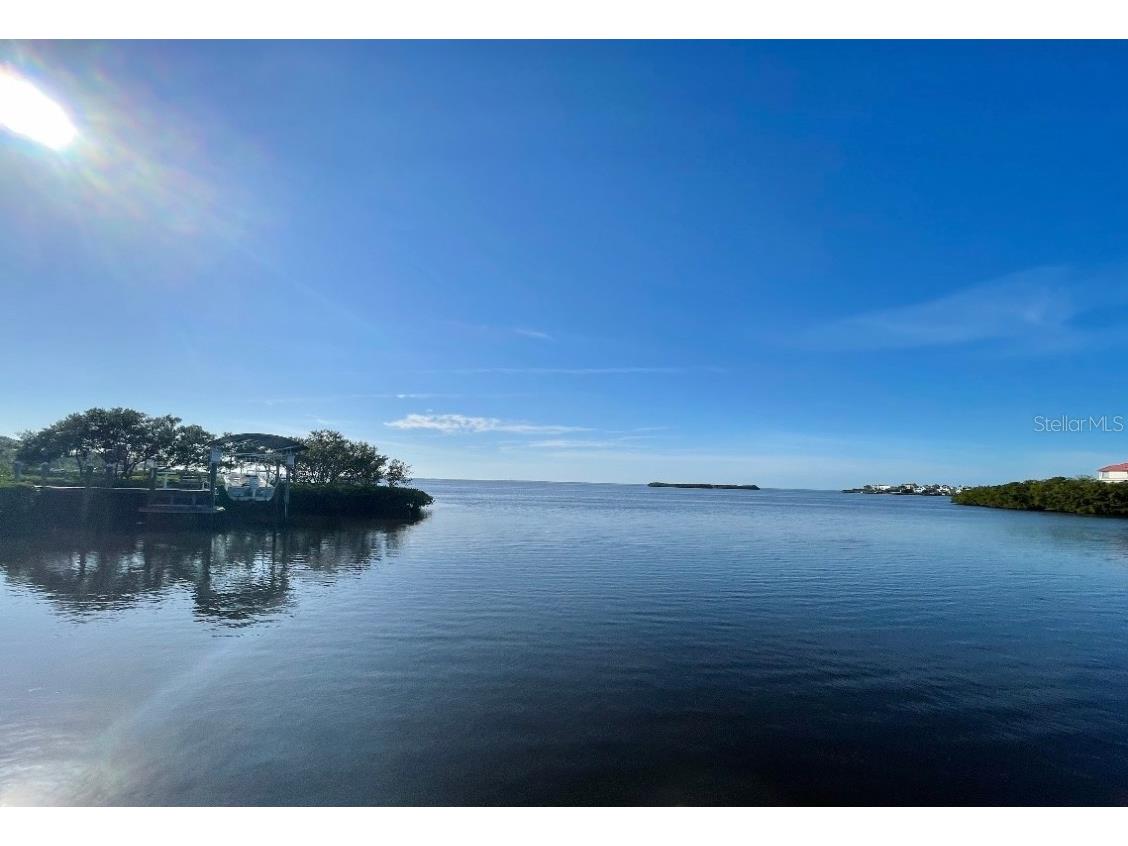 1624 Sea Breeze Drive Tarpon Springs FL 34689 - GULF OF MEXICO/AMERICA W7871997 image31