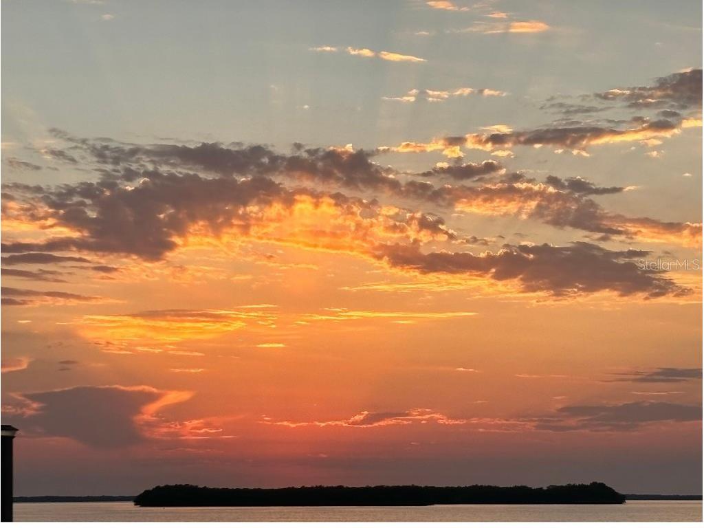 1624 Sea Breeze Drive Tarpon Springs FL 34689 - GULF OF MEXICO/AMERICA W7871997 image32